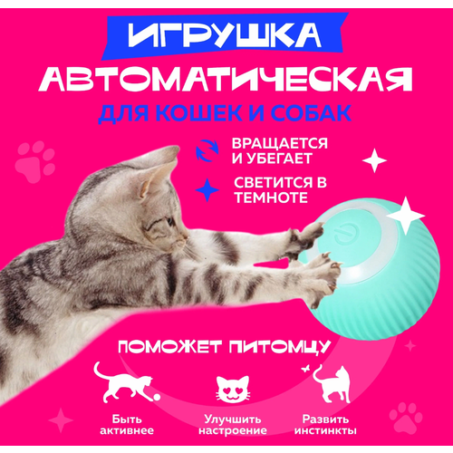 Интерактивный мяч для котов и кошек / игрушка для котят / smart мяч / дразнилка / диаметр 4.3см / голубой