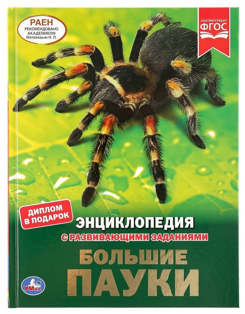 Павлинов И.Я. "Энциклопедия с развивающими заданиями. Большие пауки"
