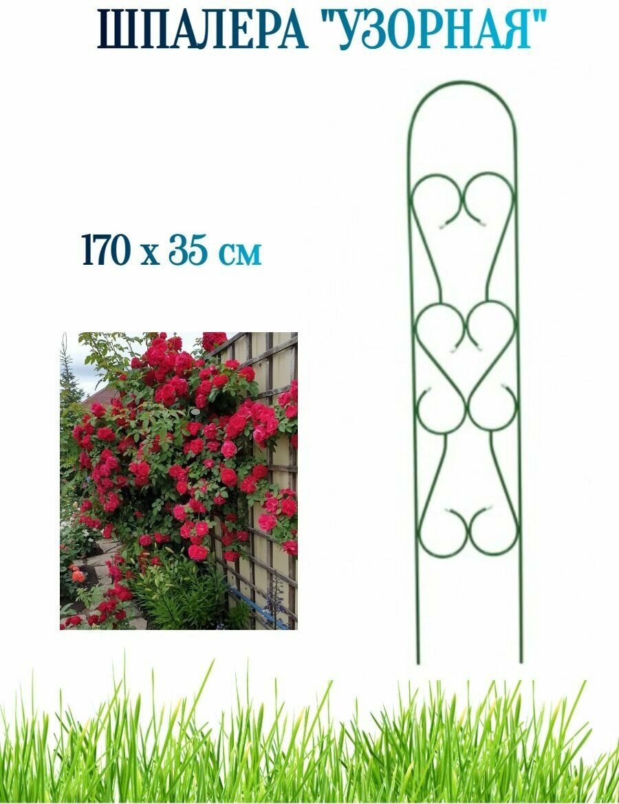фото Шпалера "Узорная" металлическая 170x35 см - для оформления участка. Идеально подходит для вьющихся растений, таких как плетистые розы и клематисы