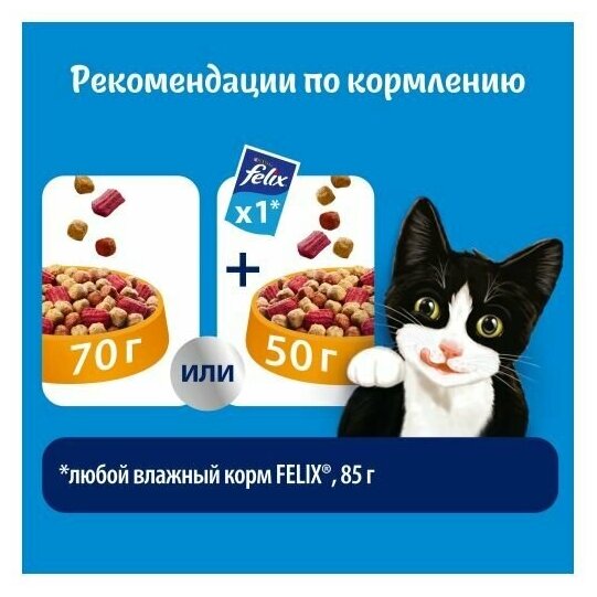 Felix Двойная Вкуснятина с птицей 1.3кг х 5шт Сухой корм для кошек - фотография № 6