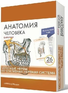 Сапин М. Р, Николенко В. Н, Тимофеева М. О, "Анатомия человека: карточки (26 шт). Черепные нервы. Вегетативная нервная система"