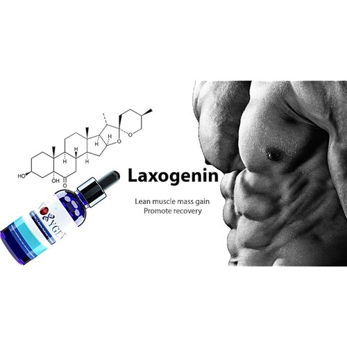 Noxygen Laxogen (5-Alpha-Hydroxy-Laxogenin) 3000mg/30ml для наращивания мышечной массы, жиросжигания, увеличения силовых показателей и выносливости
