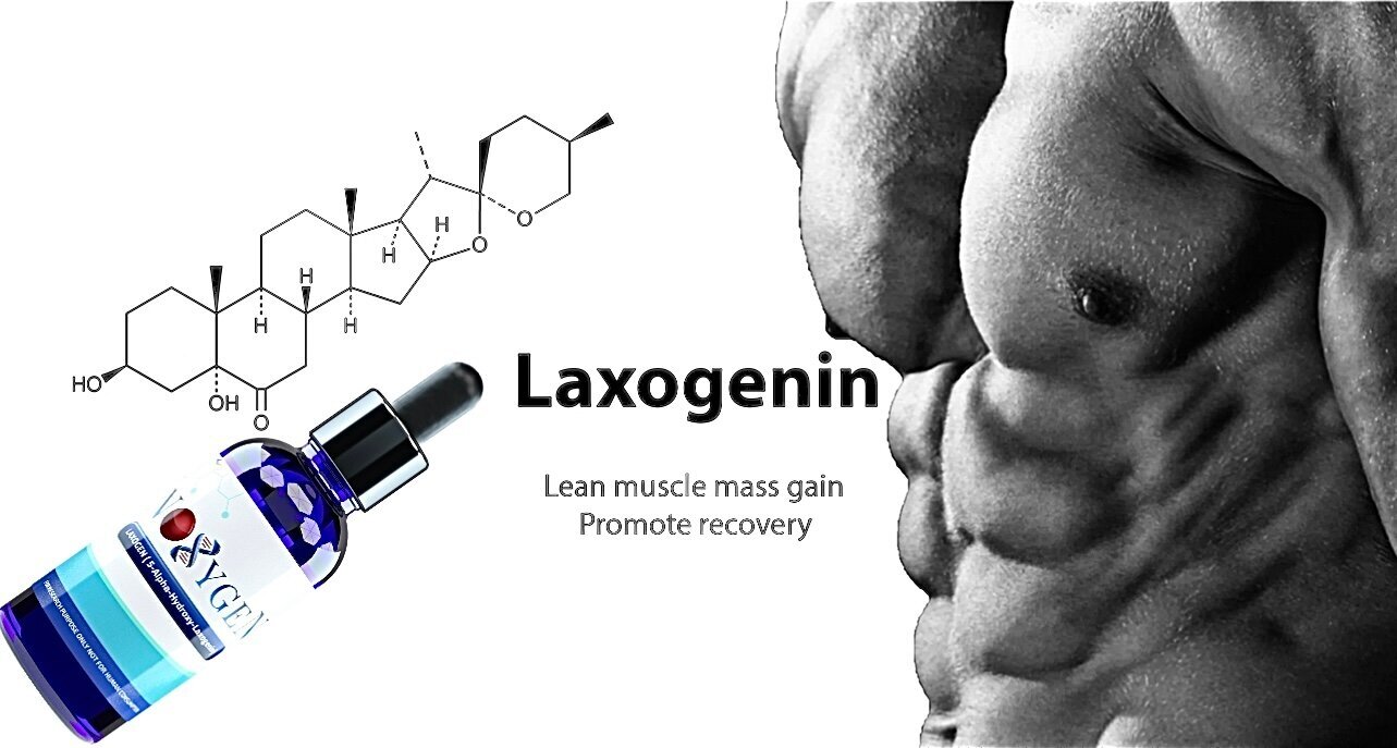 Noxygen Laxogen (5-Alpha-Hydroxy-Laxogenin) 3000mg/30ml