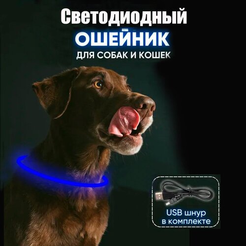 Ошейник светодиодный для собак светящийся, три режима, usb зарядка