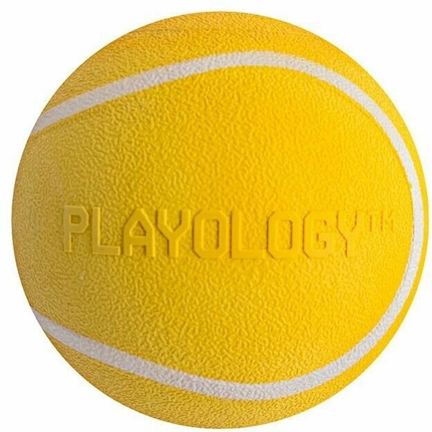 Playology жевательный мяч SQUEAKY CHEW BALL 6 см для собак мелких и средних пород с пищалкой и с ароматом курицы, цвет желтый