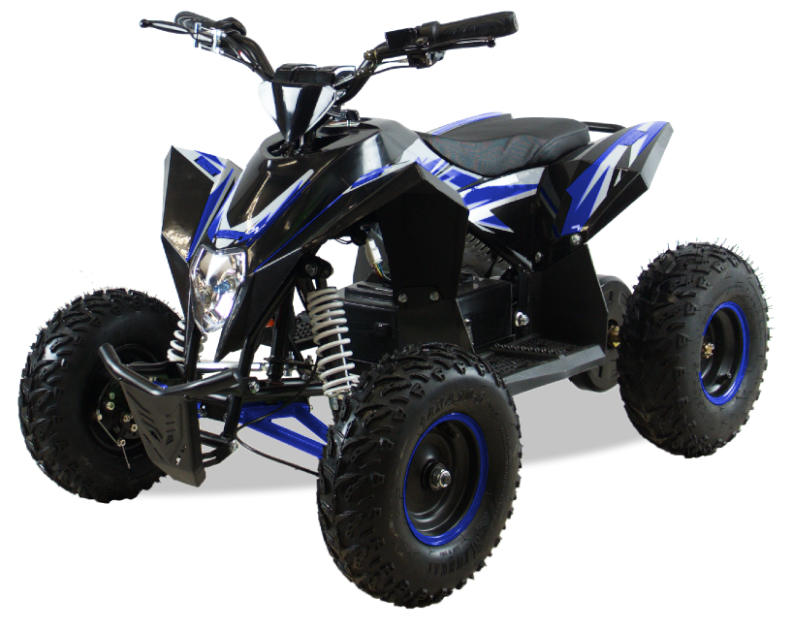 MOTAX Квадроцикл Gekkon 1300W, черный/синий