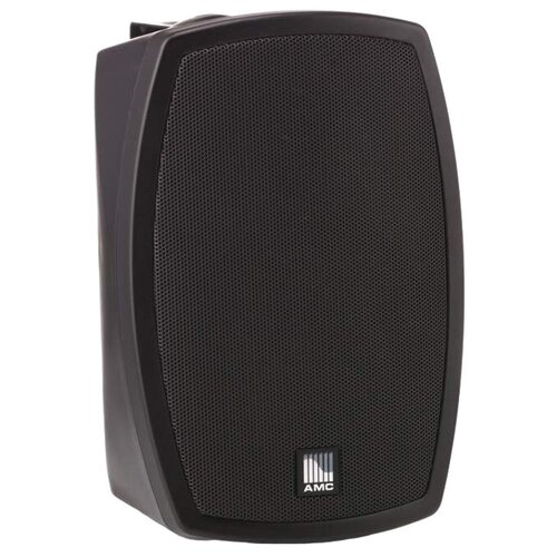 AMC Iplay 5BT Настенный громкоговоритель 446600₽