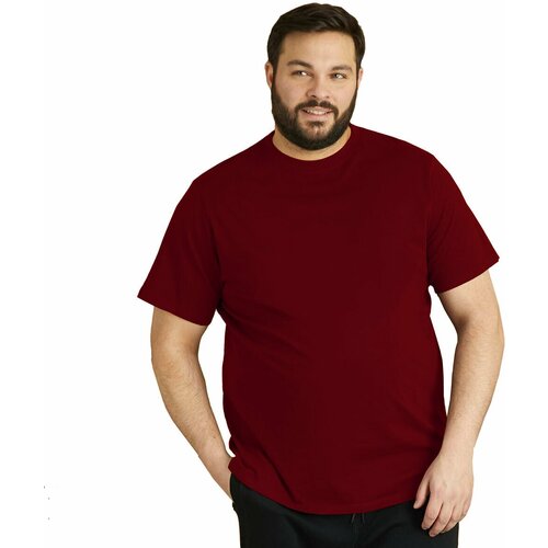 Футболка RexTex, хлопок, однотонная, размер 58, бордовый