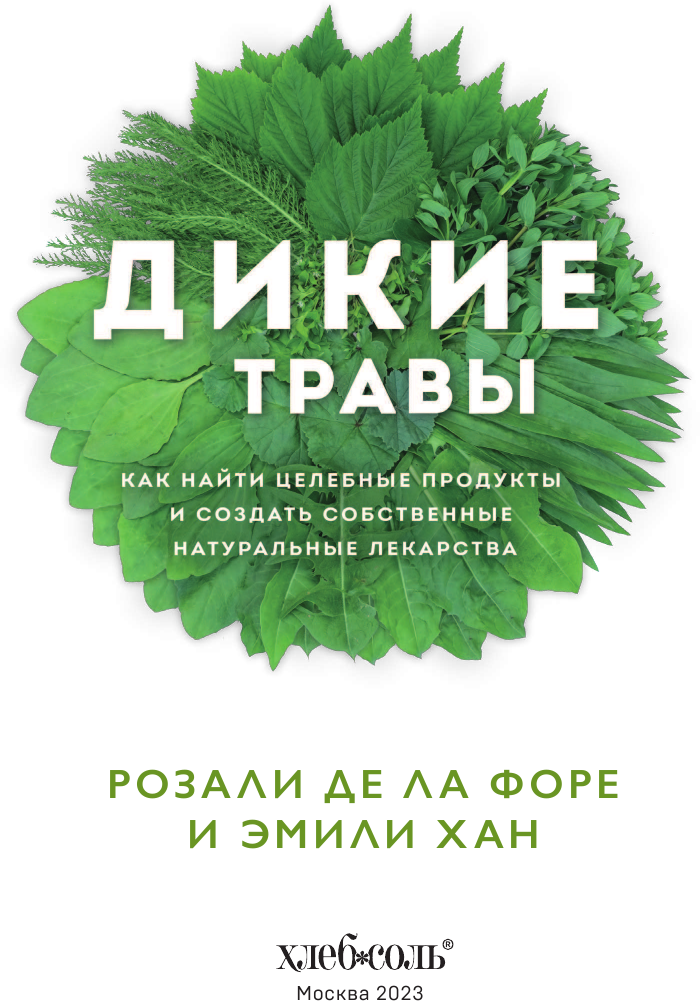 Дикие травы: как найти целебные продукты и создать собственные натуральные лекарства - фото №9