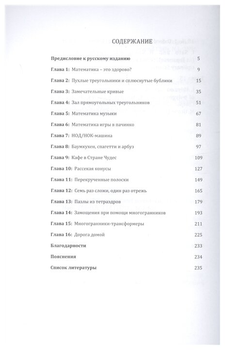 Страна математических чудес (Акияма Дж., Руис М.-Дж.) - фото №2