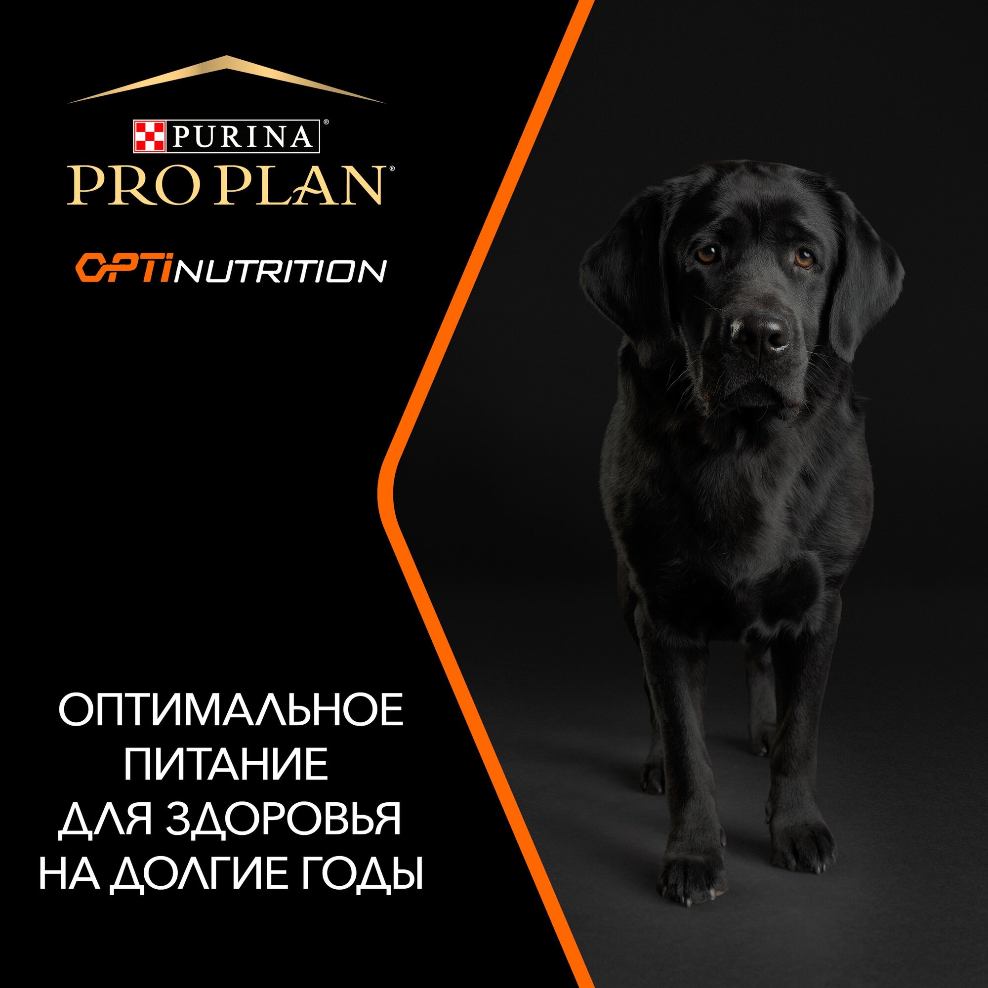 Сухой корм ProPlan для взрослых собак крупных пород с мощным телосложением, курица, 18кг Purina ProPlan - фото №6