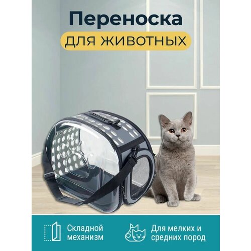 SSPODI Переноска для животных до 15 кг