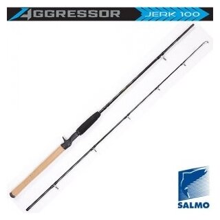 Спиннинг Salmo Aggressor Jerk 100 1.80