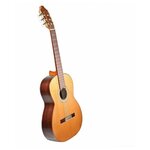 Prudencio Classical Initiation Model 004A Cedar Классическая гитара - изображение