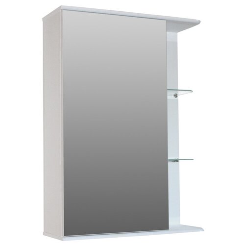 Шкаф зеркальный СаТЭМ-Нева 510*720*200 Ф 4 П