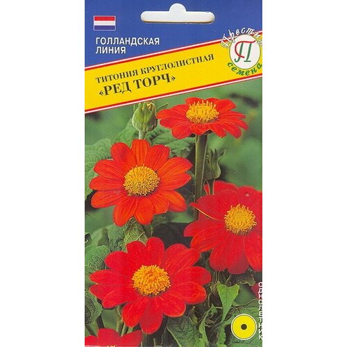 Титония круглолистная Ред Торч титония круглолистная факел семена цветы