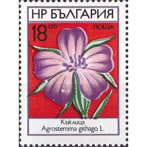 (1973-029) Марка Болгария Куколь обыкновенный Полевые цветы III Θ 1973 029 марка монголия болгария конференция сэв iii θ