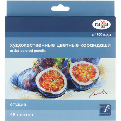 Карандаши цветные художественные Гамма Студия, 48цв, заточен, картон. упаковка, 356559