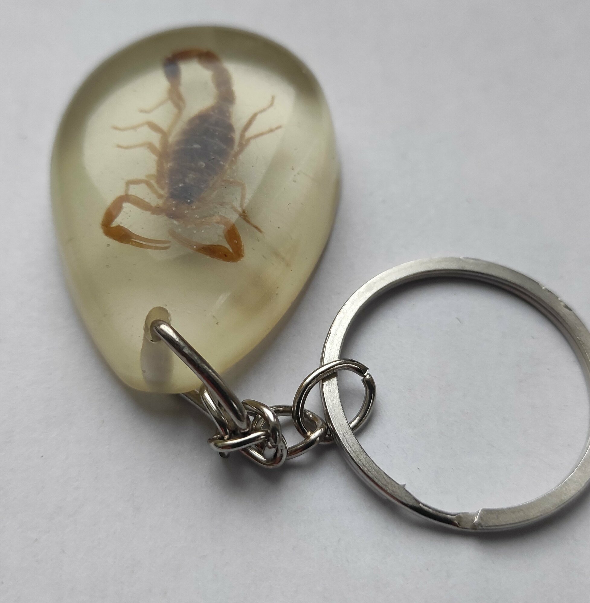 Брелок, 2 шт., бесцветный — фото 1