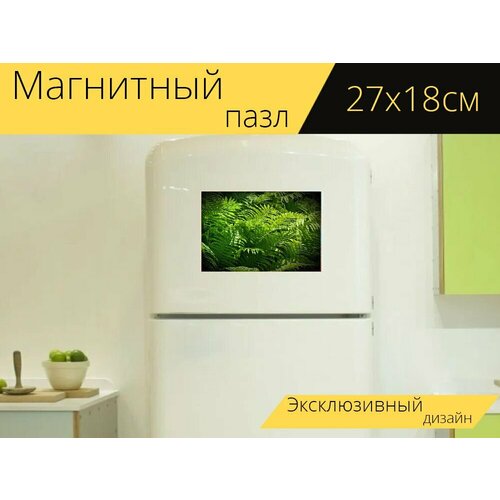 Магнитный пазл Папоротники, зелень, солнечные лучи на холодильник 27 x 18 см.