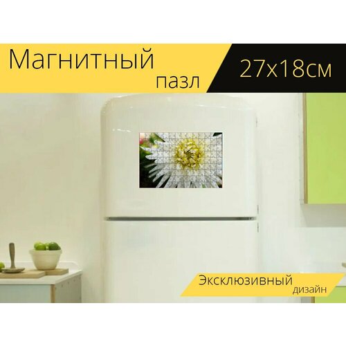 Магнитный пазл Цветок, белый, летом на холодильник 27 x 18 см. магнитный пазл пчела цветок летом на холодильник 27 x 18 см