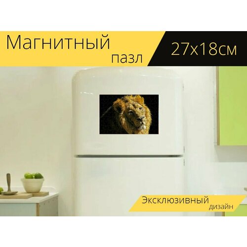 Магнитный пазл Лев, кошки, хищник на холодильник 27 x 18 см. магнитный пазл лев хищник опасный на холодильник 27 x 18 см