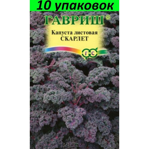 Семена Капуста листовая Скарлет Н2110уп по 0,2г (Гавриш) семена капуста листовая скарлет 0 2г гавриш цветочная коллекция 10 пакетиков