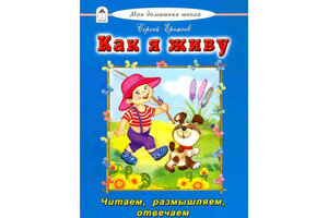 Как я живу (Еремеев Сергей Васильевич) - фото №2