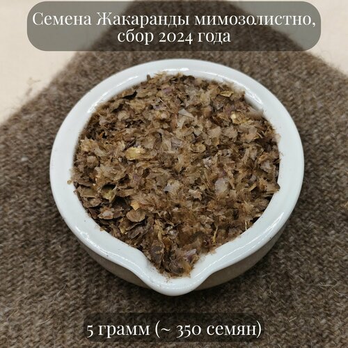 Семена Жакаранды мимозолистной комнатной бонсай "Фиалковое дерево", 5 грамм (примерно 350 шт)