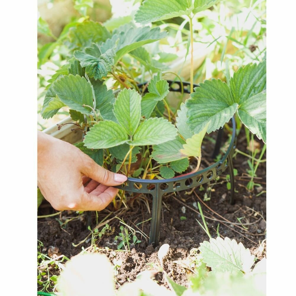 Держатели садовые для клубники и цветов, розы/ кустодержатель 10 шт. — фото 1