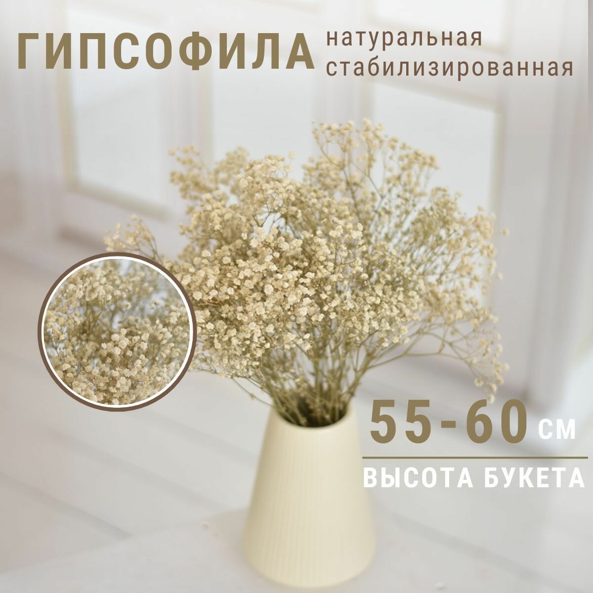 Сухоцветы для декора Гипсофила Trava Decor стабилизированные цветы для вазы белые