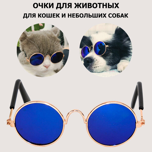 Солнцезащитные очки для животных, очки для собак и кошек, аксессуар для фотосессии, синие
