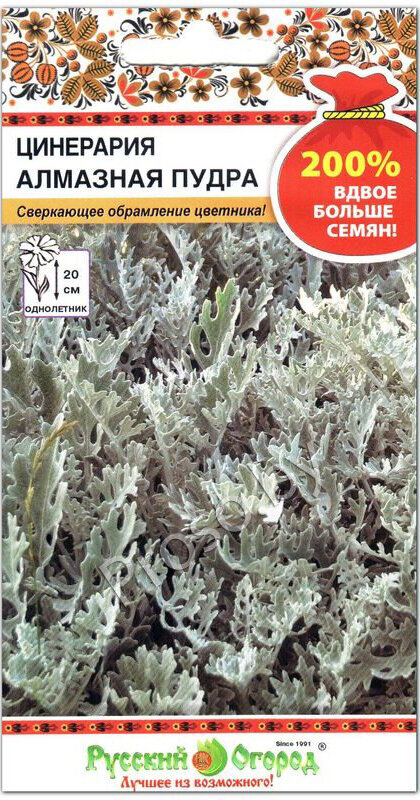Семена цинерарии 