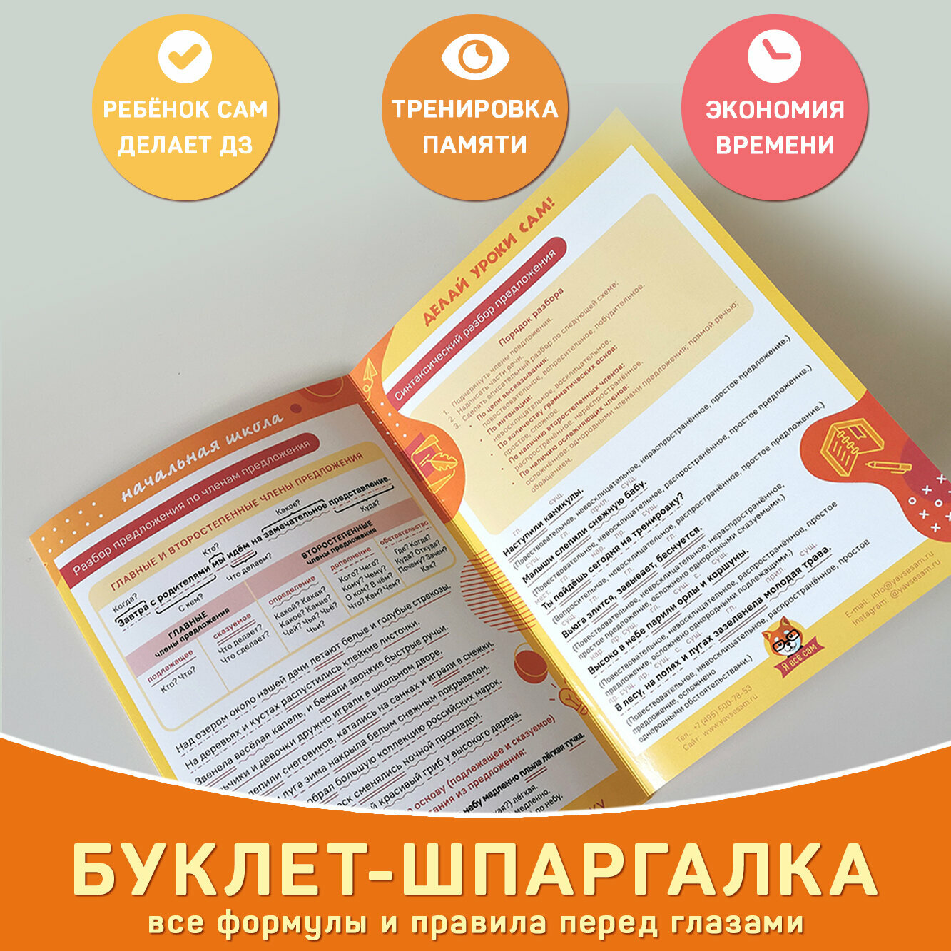 Обучающий буклет А5 «Виды разборов по русскому языку (1-4 класс)» для начальной школы, Делай уроки сам! — фото 1
