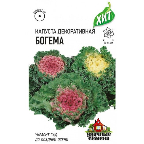 Семена Капуста декоративная Богема, 0,1г, Удачные семена, х3 капуста декоративная богема