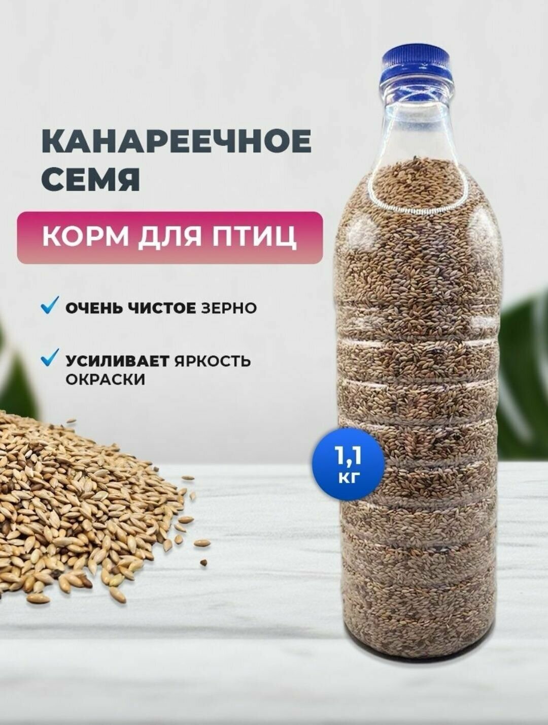 Канареечноесемя