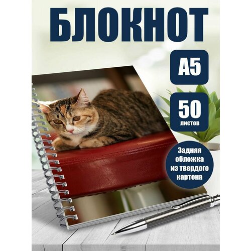 Блокнот А5 Удивительный мир животных