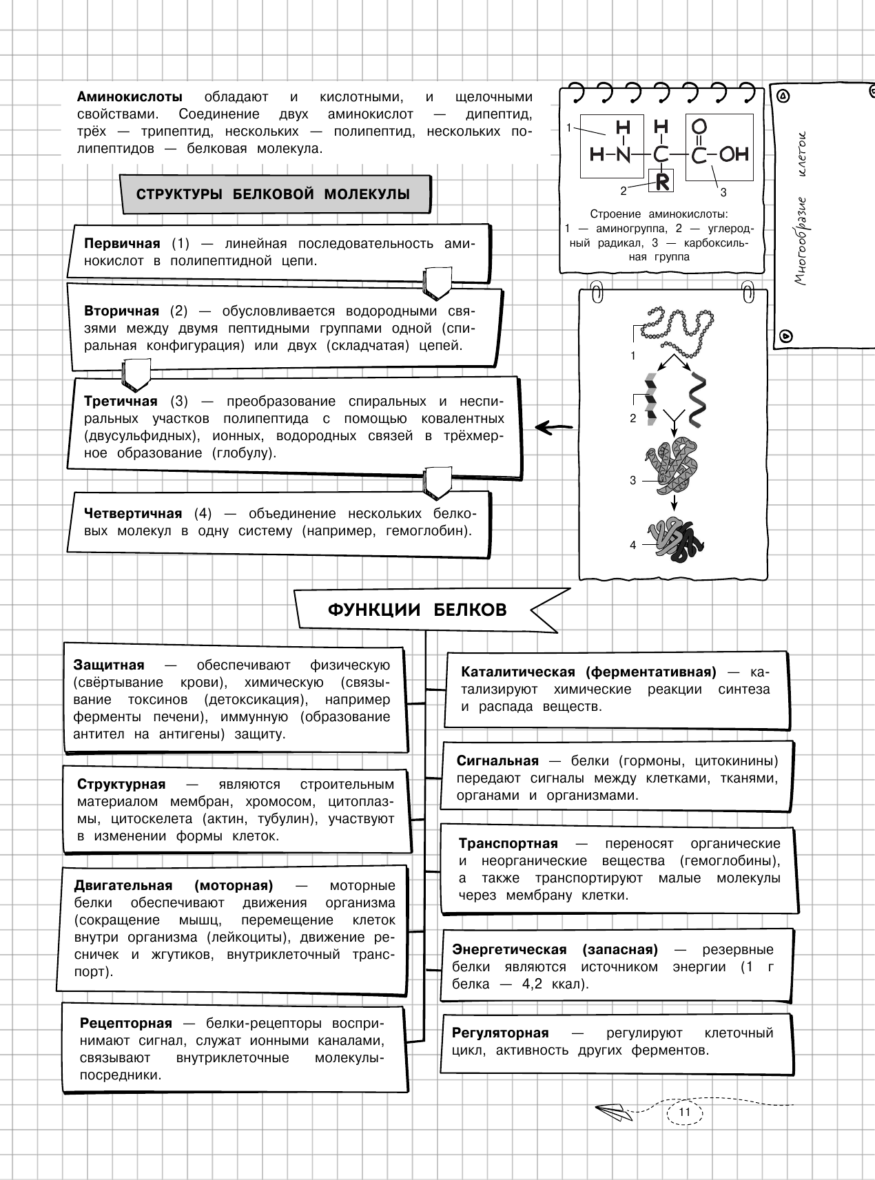 Наглядная биология (Мазур Оксана Чеславовна) - фото №15