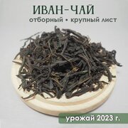 Иван-чай "Эко-Вологда", вологодский, отборный, крупнолистовой, ферментированный, урожай 2023 года.