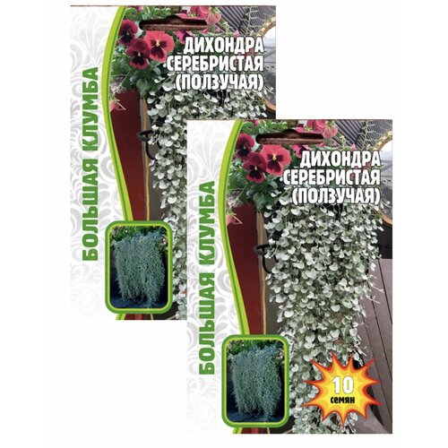 Дихондра Серебристая (ползучая), 10 драже, 2 пакета, ЧК