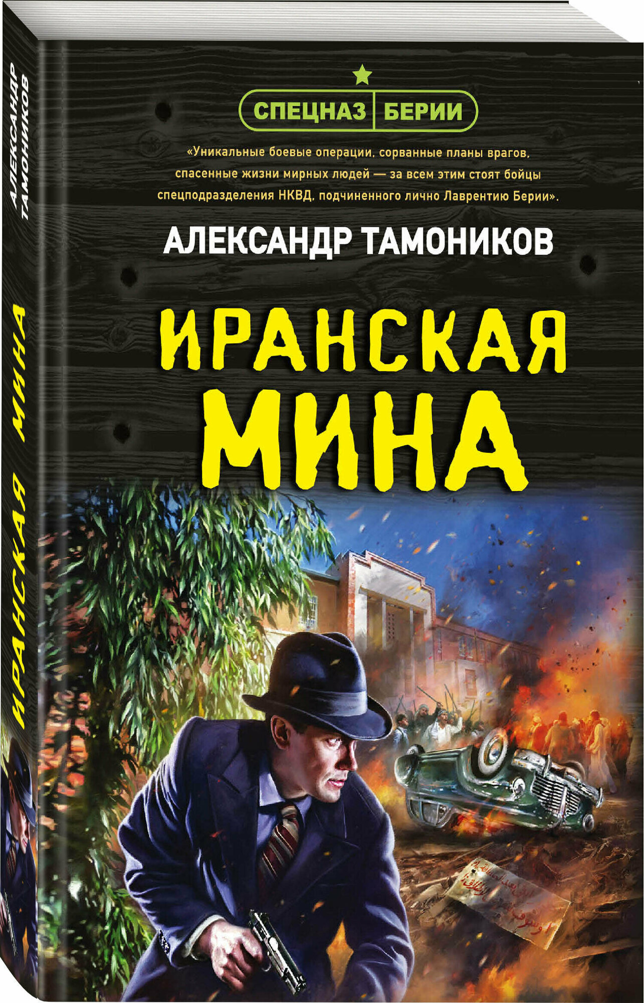 Тамоников А. А. Иранская мина