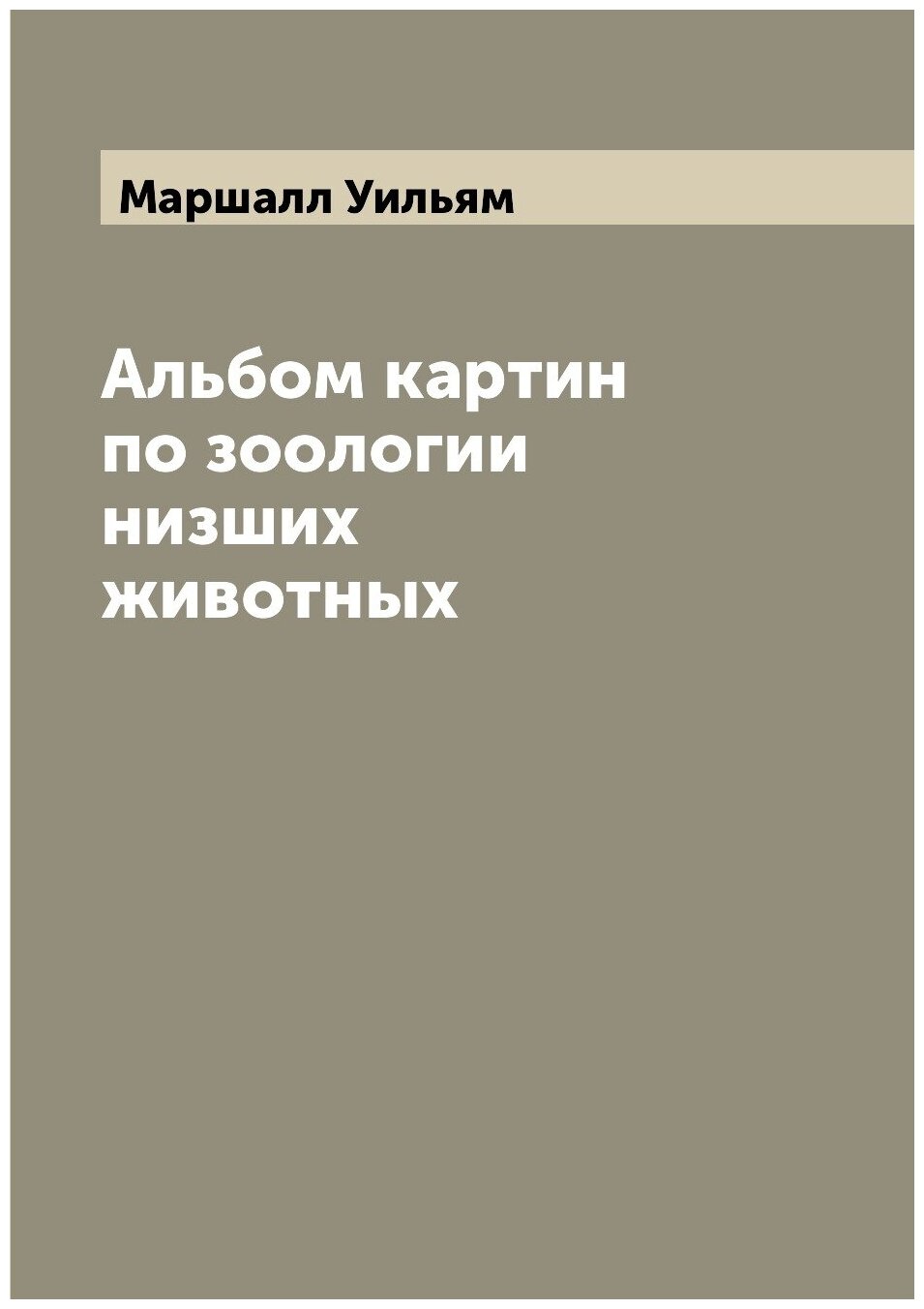 Книга Альбом картин по зоологии низших животных - фото №1