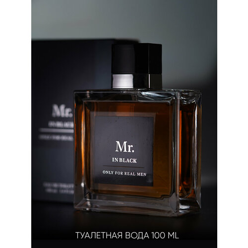 Mr. In Black, Мистер Ин Блэк, туалетная вода мужская, мужской парфюм туалетная вода christine lavoisier parfums mr in black 100 мл