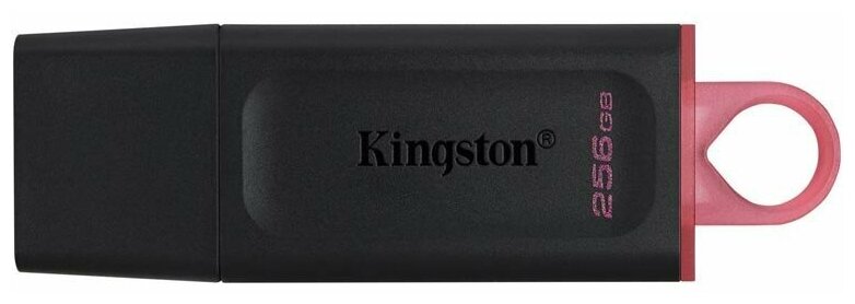 USB Flash Drive 256Gb - Kingston DataTraveler Exodia USB 3.2 Gen 1 DTX/256GB