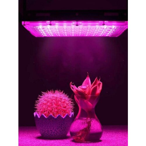 Фитолампа для растений, светодиодный светильник полного спектра для выращивания растений лампа для выращивания растений e27 комнатный светодиодный светильник полного спектра фитолампа для растений саженцев лампочка для теплиц