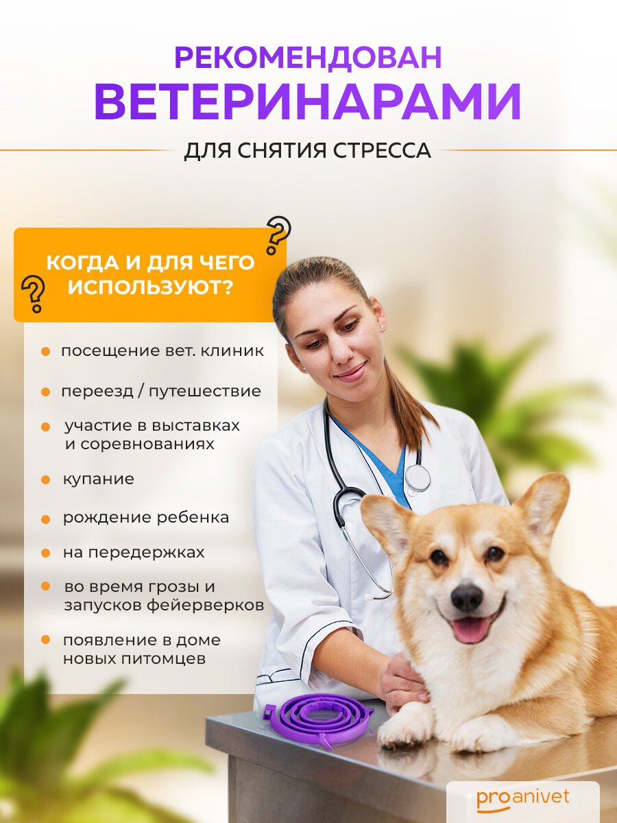 Успокаивающий ошейник для собак с феромонами ProAnivet Calming Collar, фиолетовый, 62 см