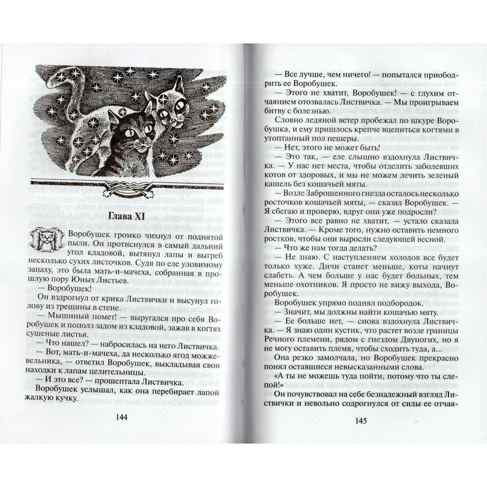 Книга Коты-воители. Длинные тени - фото №6