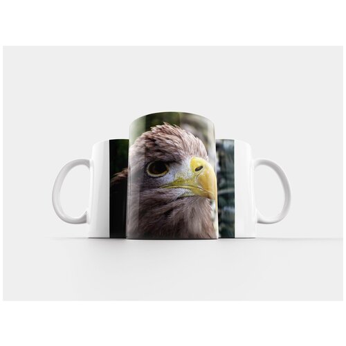 фото Кружка "дикая природа, хищные птицы, орел" 320 мл lotsprints