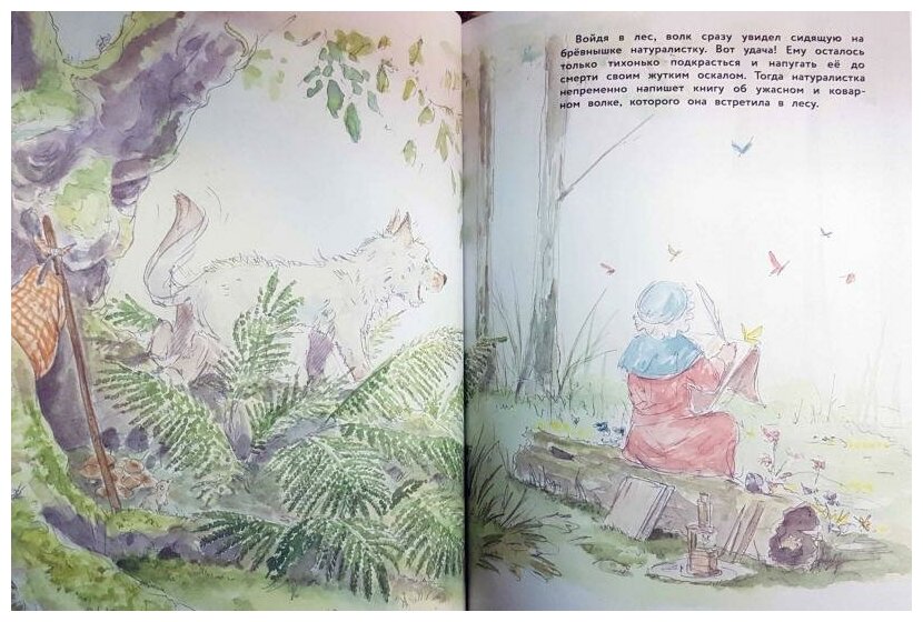 Волк, которого никто не боялся. Мешенмозер С. — фото 1