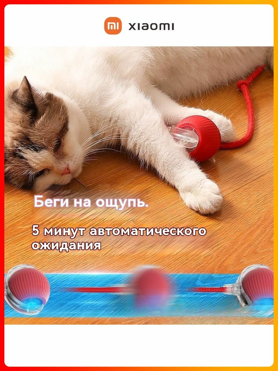 Игрушки Для Животных Xiaomi Xiaomi Игрушка для гадаванец, интерактивная, умная дразнилка для кошек,